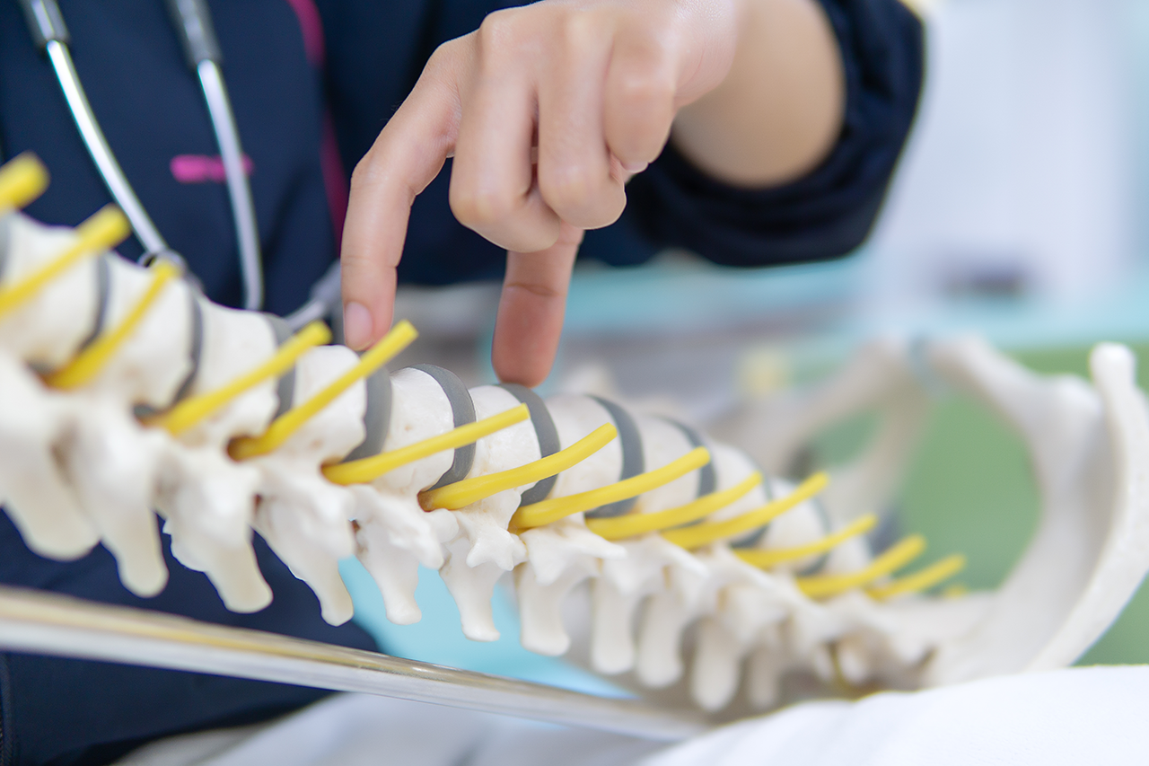 Reviewing a Spine